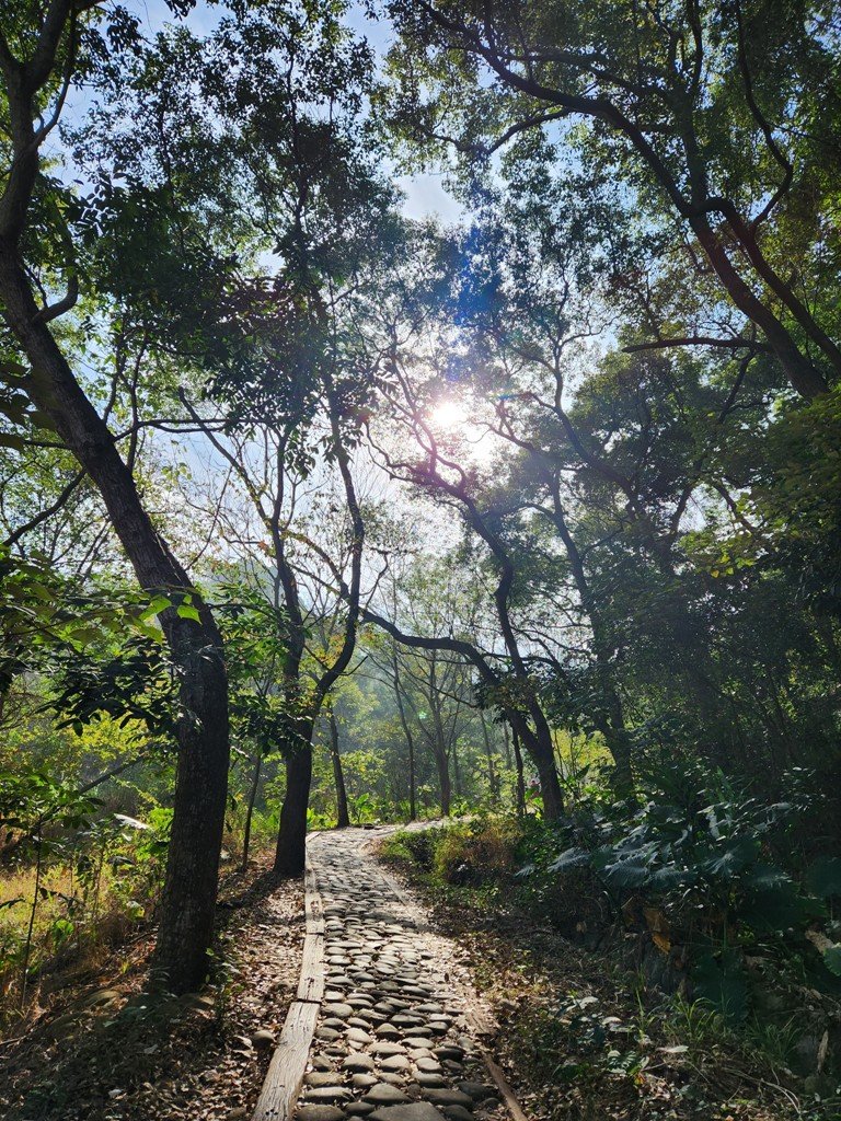 【彰化清水巖】十八彎古道連走擎天崗(中央嶺步道)_2038016
