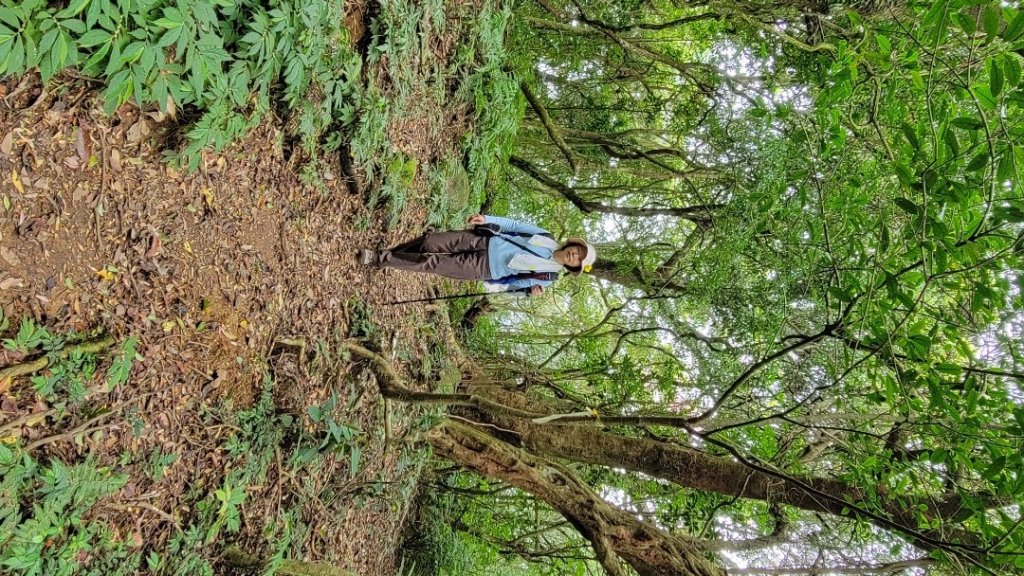 賞花+爬山健行-20240224_2436950