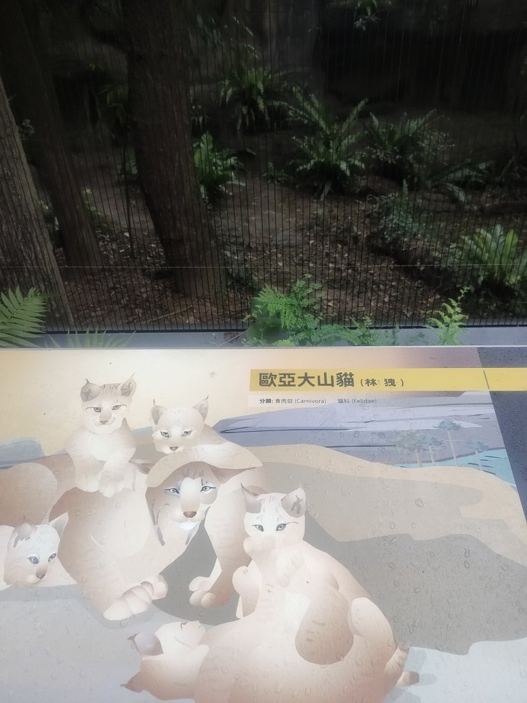 台北動物園_2664013