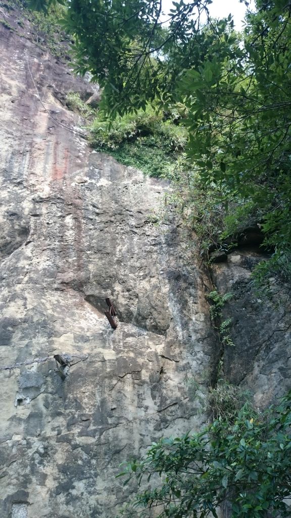南港山縱走親山步道(拇指山、南港山、象山、九五峰)_332876