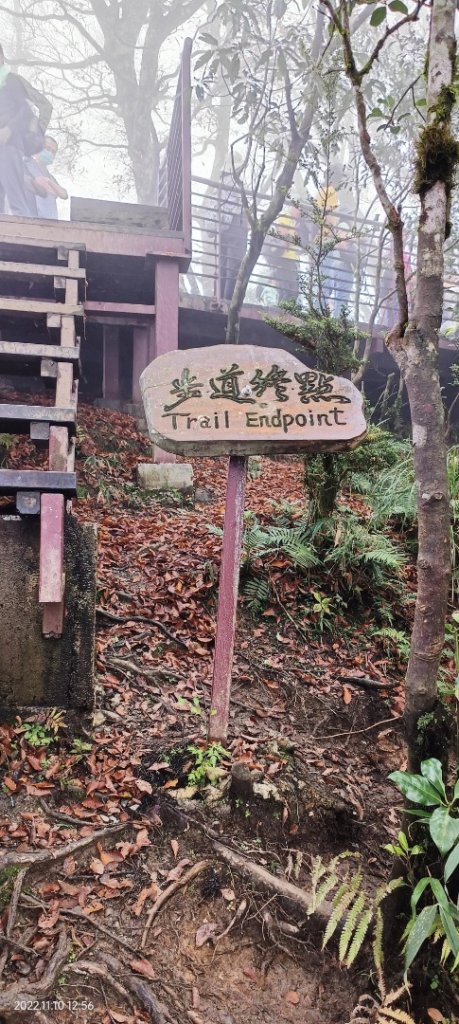 山毛櫸步道_2689007