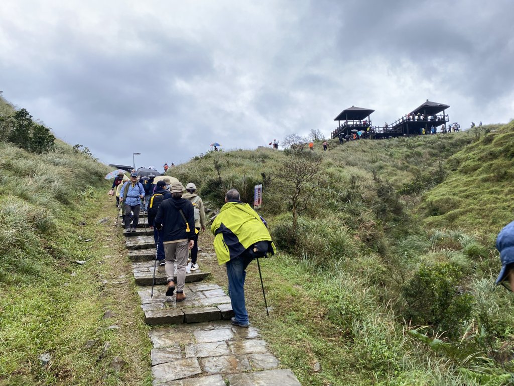 《2025草嶺古道芒花季｜雨天版完整攻略 × 七顆寶石路線實走》_2949354