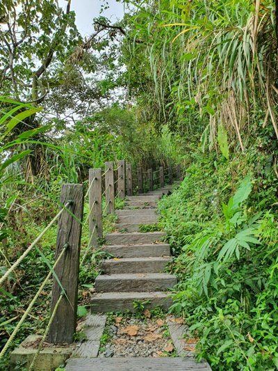 1090405後棟山連走大二尖山_908316