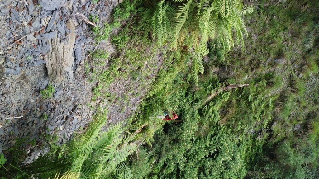 北坑溪古道高嶺本田馬達拉神崎駐在所_1805679