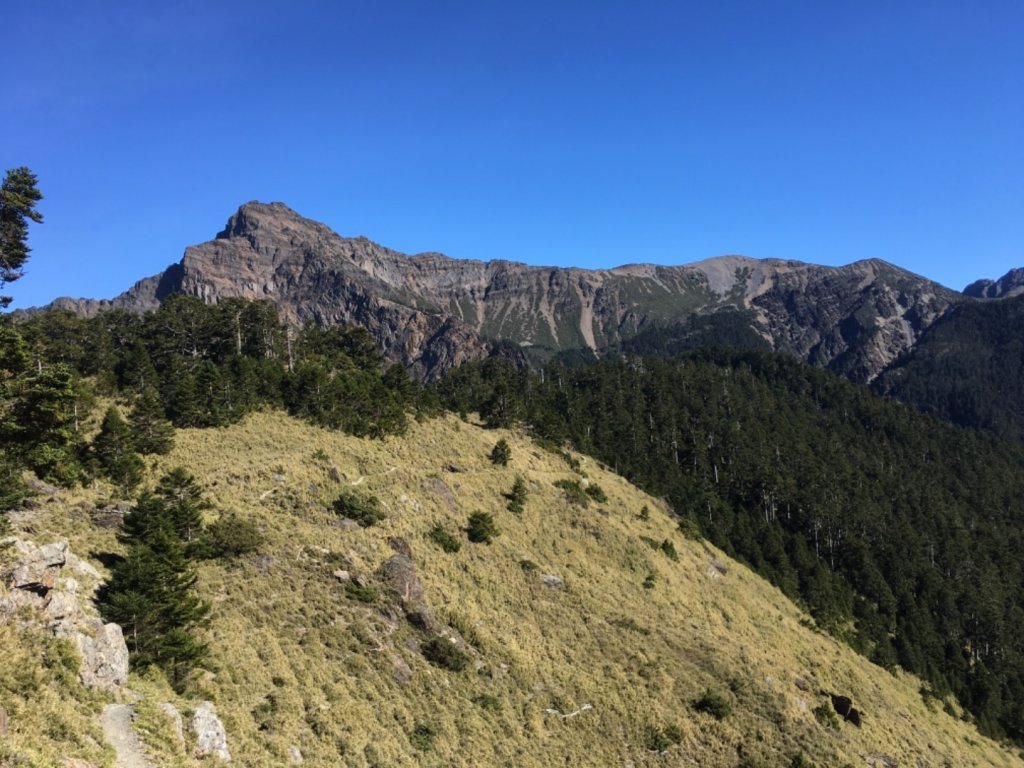 玉山主東西單攻_783573