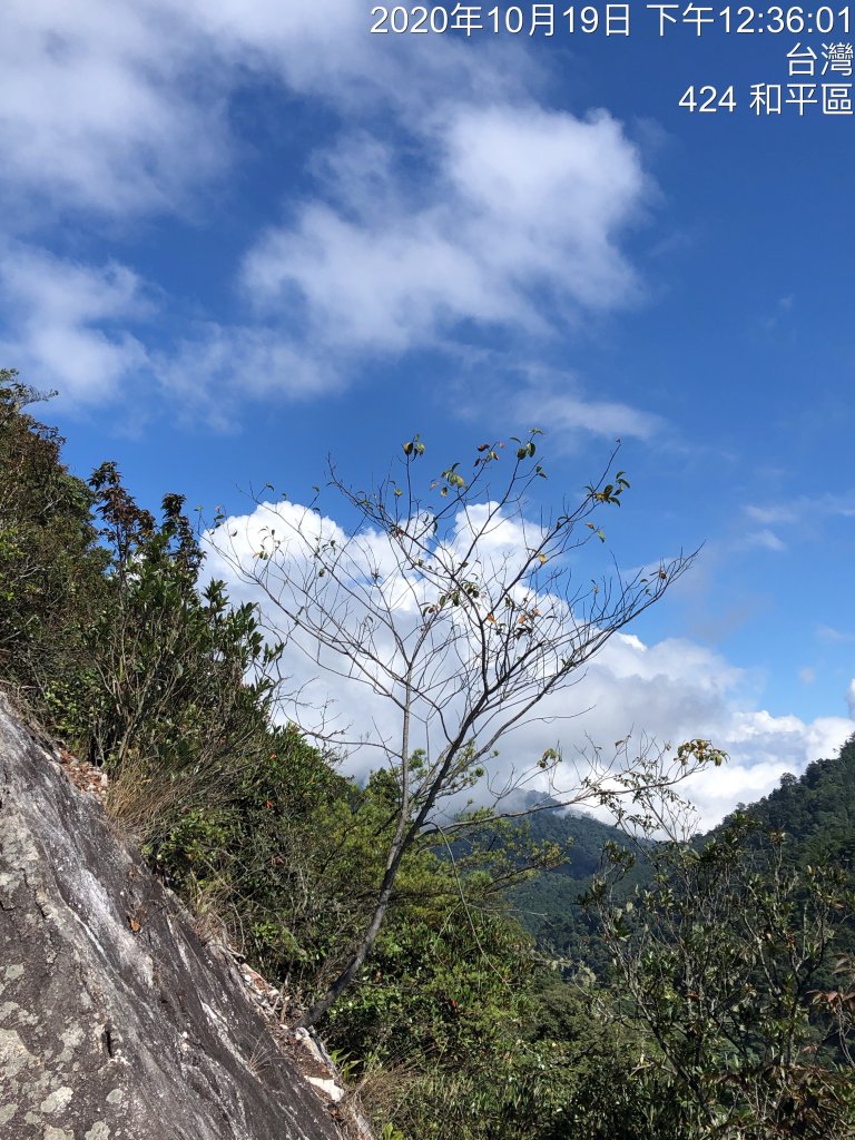 鳶嘴稍來國家步道季秋縱走_1144530