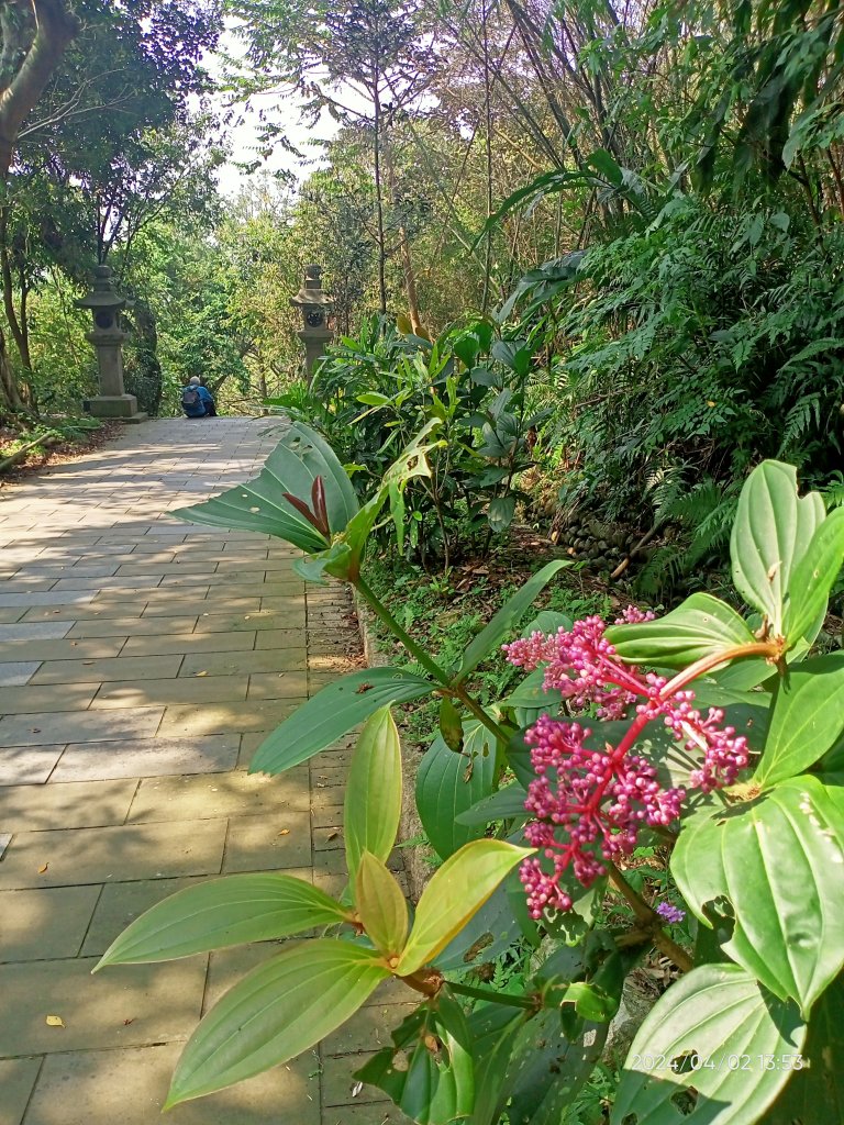 【臺北大縱走 7】樟山寺→國立政治大學 & 獲得第一回合「全程完成證書」_2471756