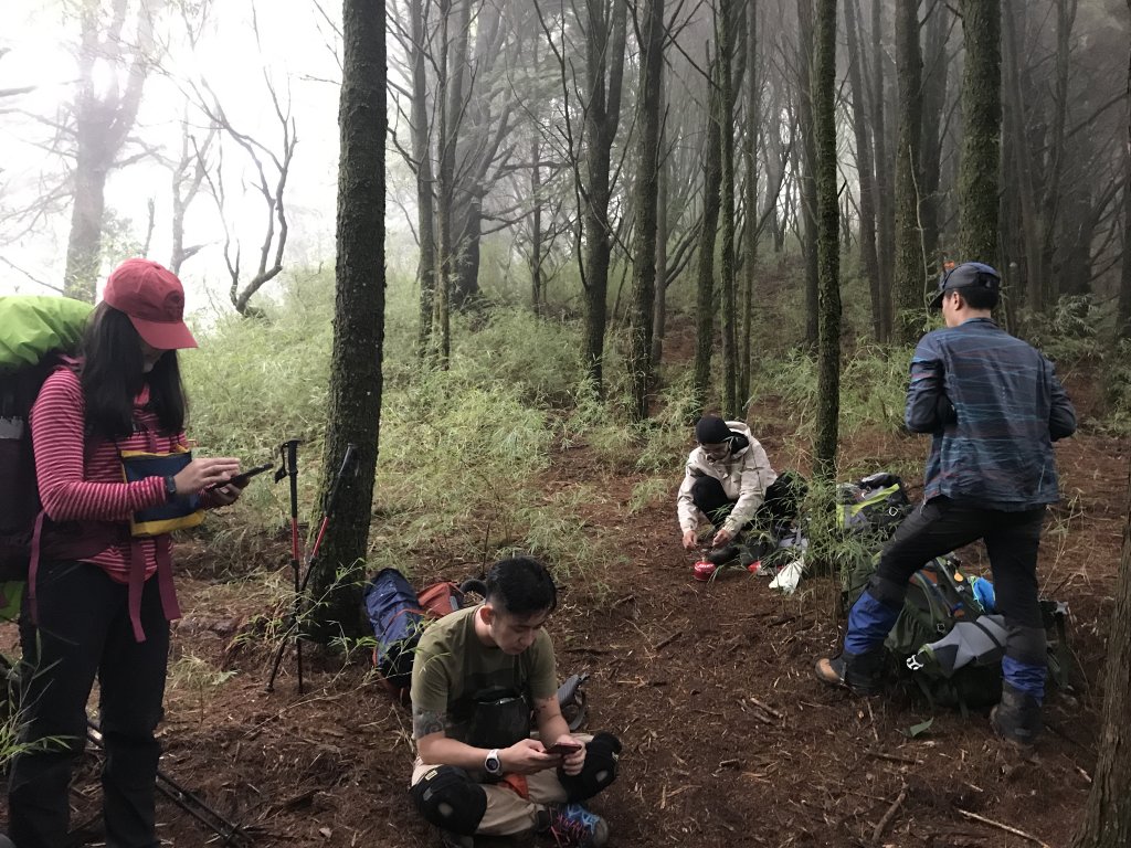 白姑大山之夜_1144143