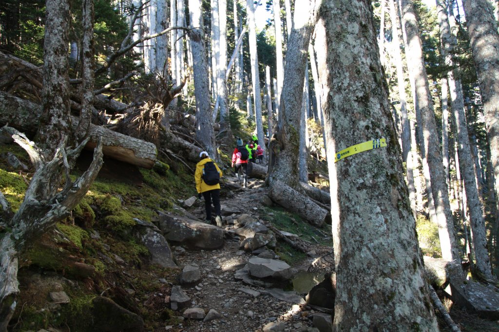 10-21 雪山東峰+雪山主峰+翠池_910535