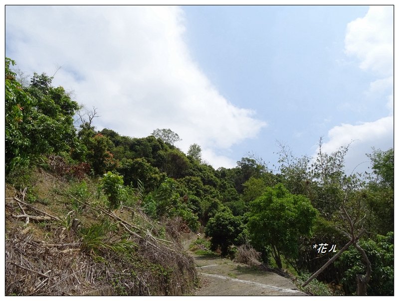 大里/貴妃步道_912082