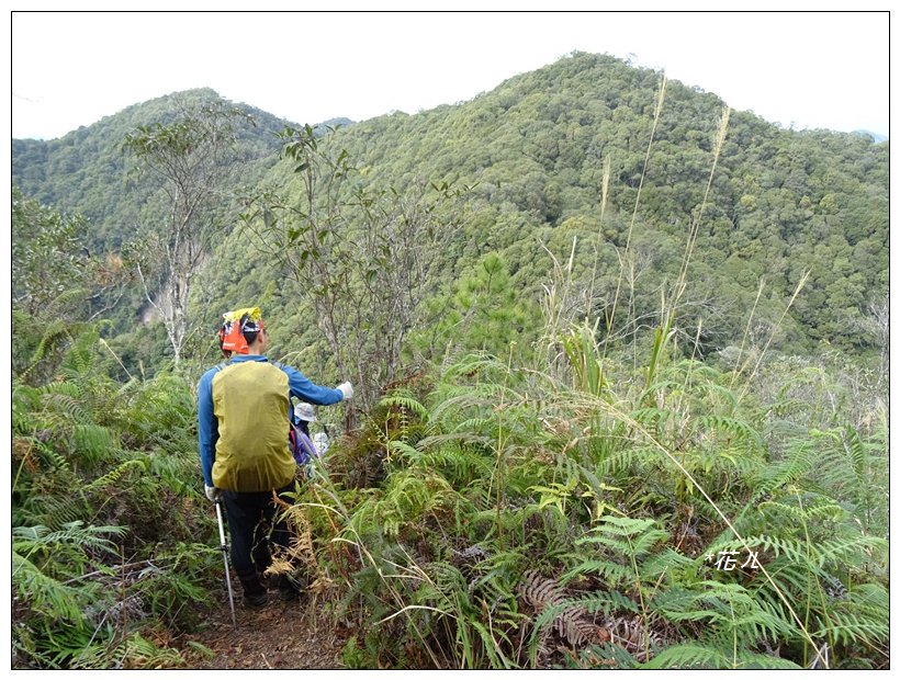 谷關/阿白縱走_822039