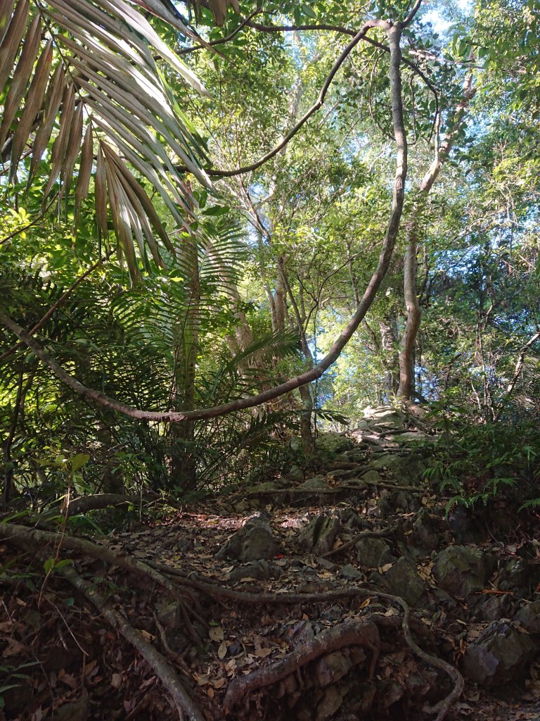 唐麻丹山_2790139