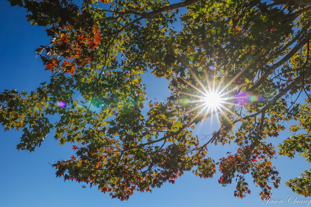 [苗栗]馬那邦山_2355168