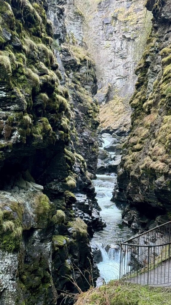 挪威🇳🇴Voss峽谷秘境封面圖