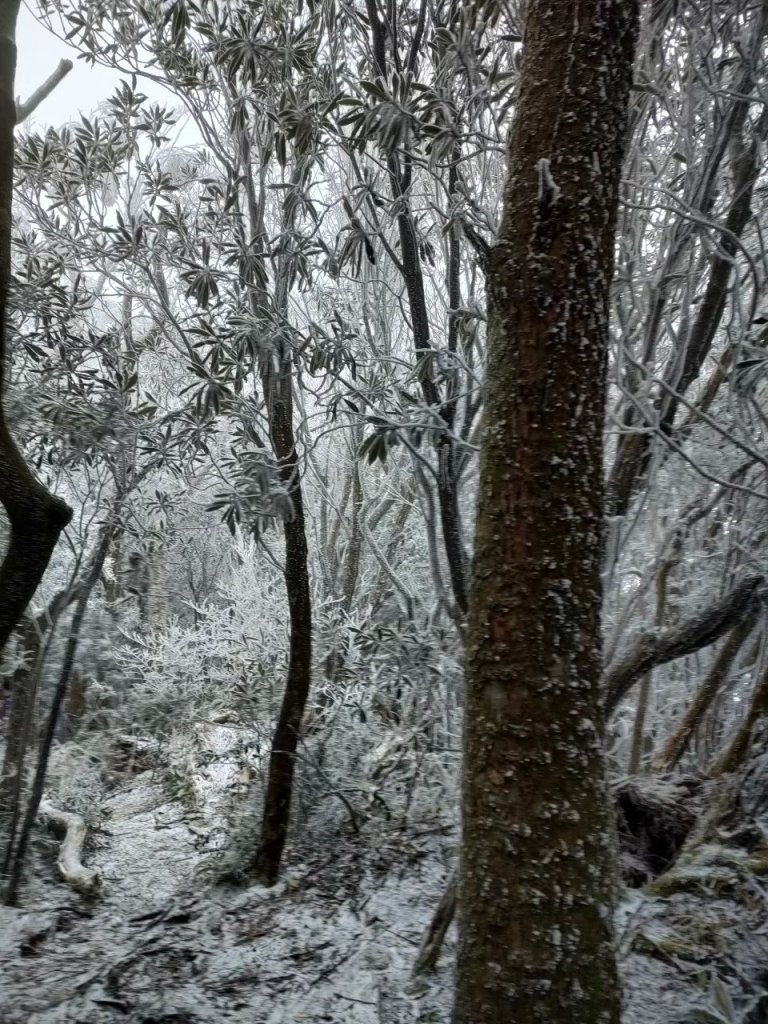 雪季北得拉曼_2956385