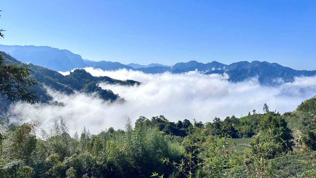 五元二角、雲嶺之丘 、番子田山、木馬古道_2451123