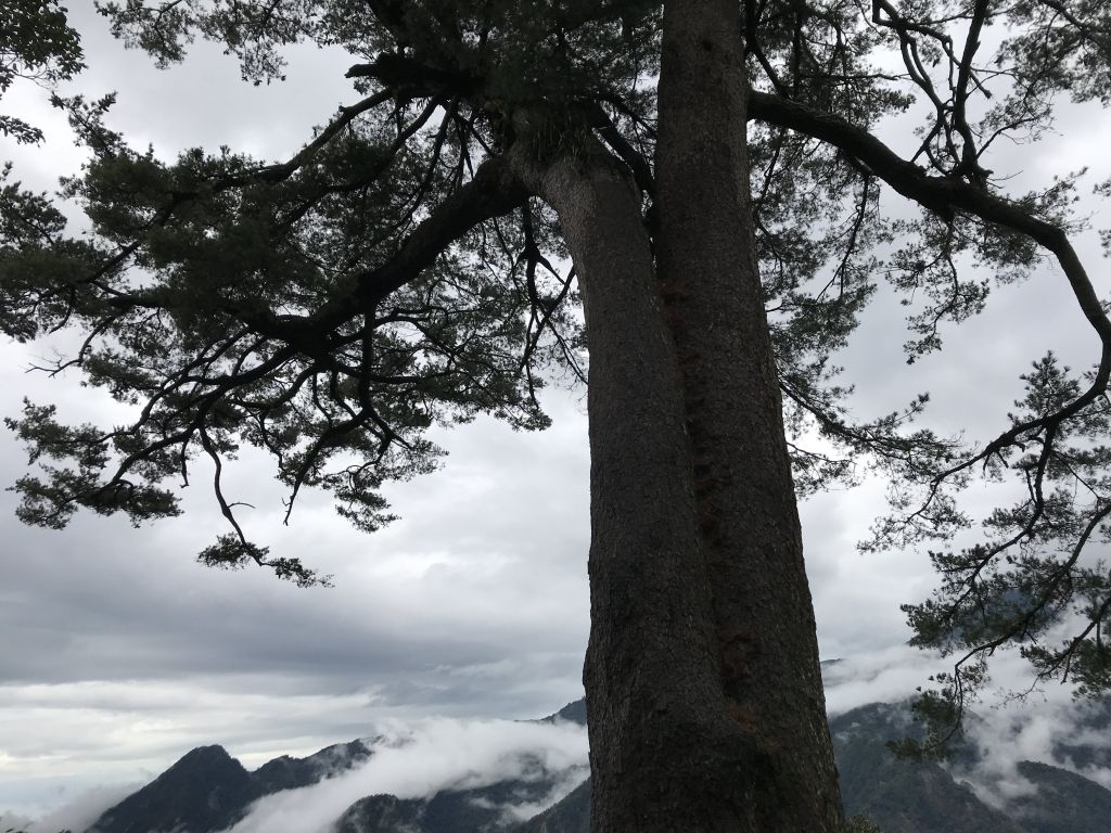 谷關七雄馬崙山_222113