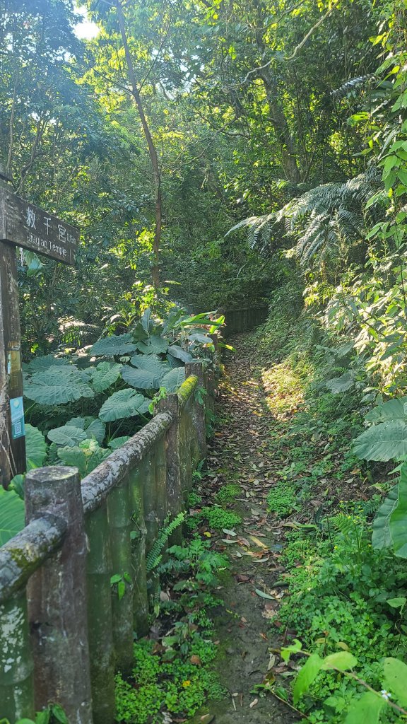 2025-0310臺北大縱走第七段封面圖