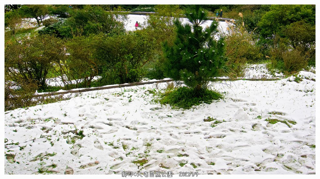 2021 大屯山之雪_1234700
