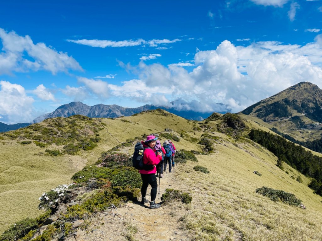 1110422南哈哈山-哈哈山-石門山北峰_1684459