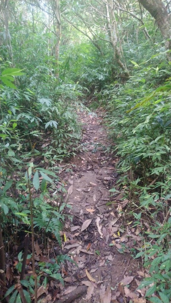 難惹的女仍山_1777364