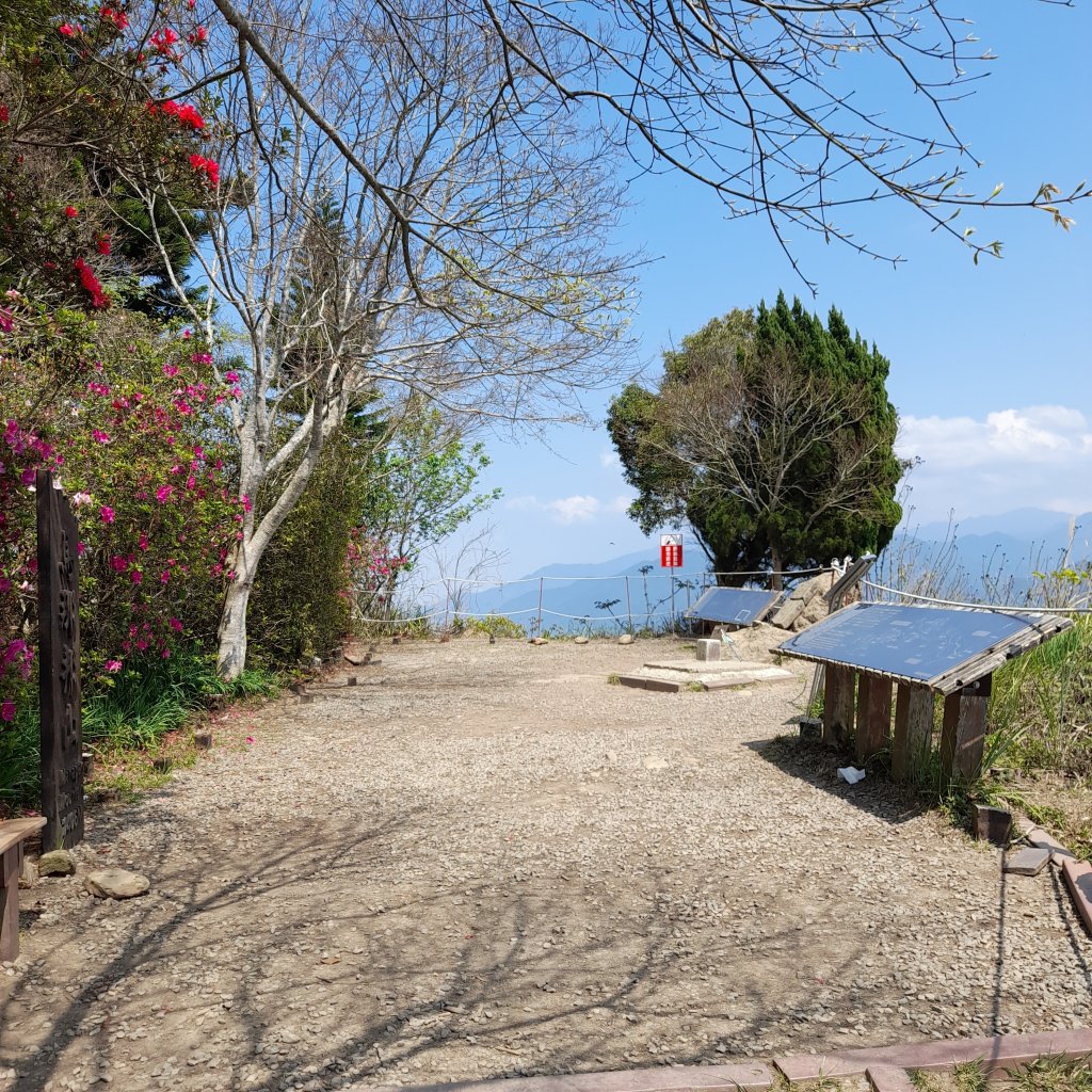 小百岳No.37⛰馬那邦山_2440806