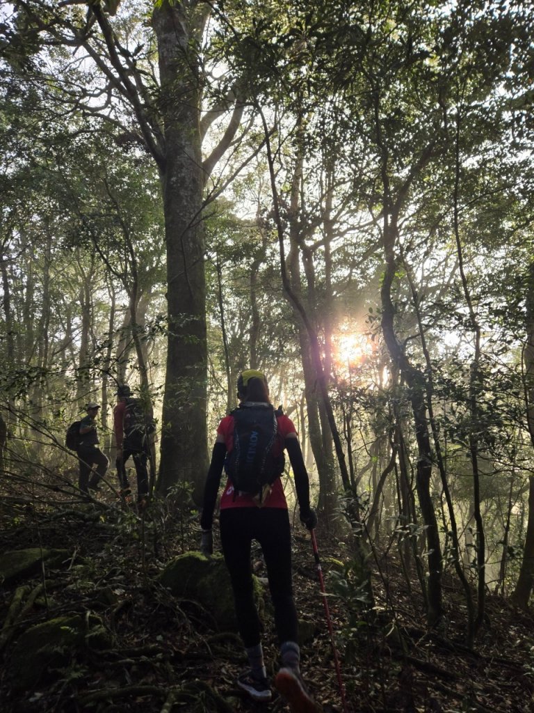 20241110待矢負山-南北插-林望眼山封面圖