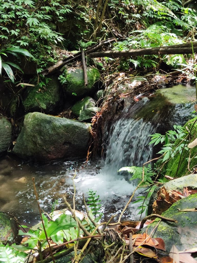 淡蘭北2+1逆走二刷_2772765