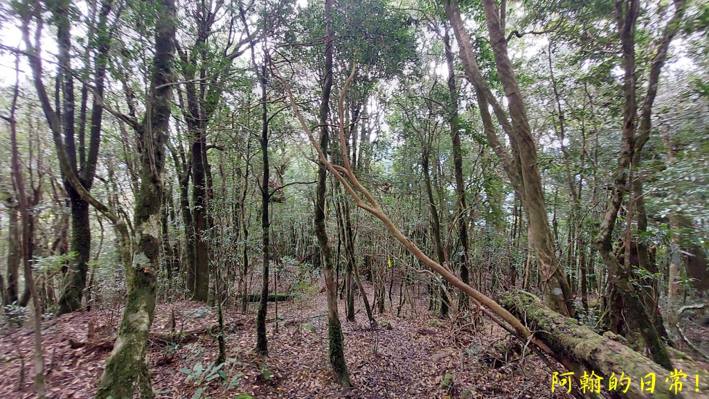 高島縱走_2687001