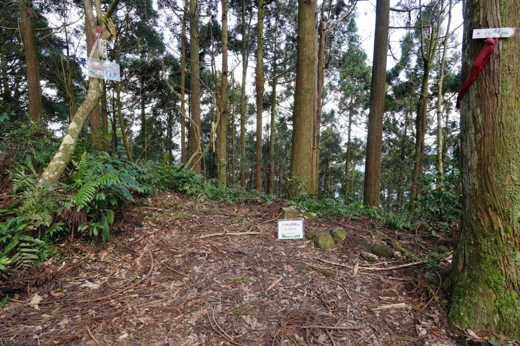 新北 烏來 大桶山、火燒樟山_2728784