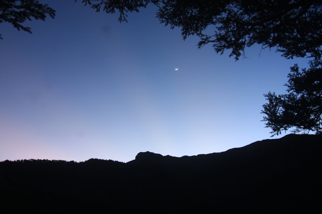 玉山3952單攻_690323