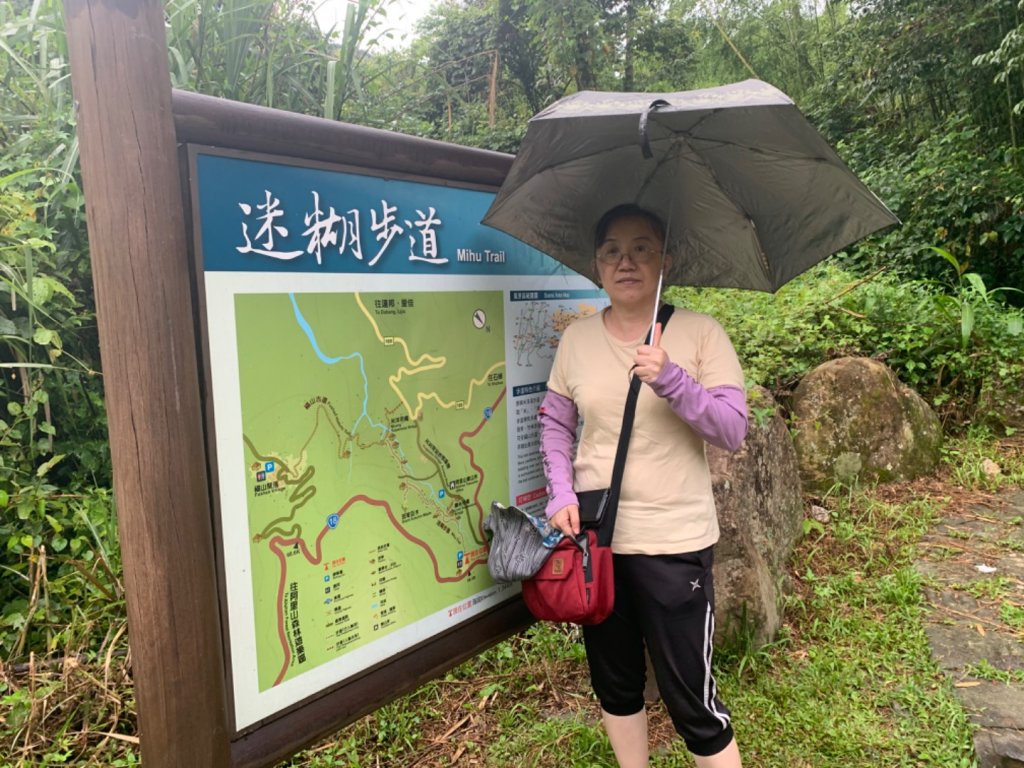 阿里山迷糊步道_1029026