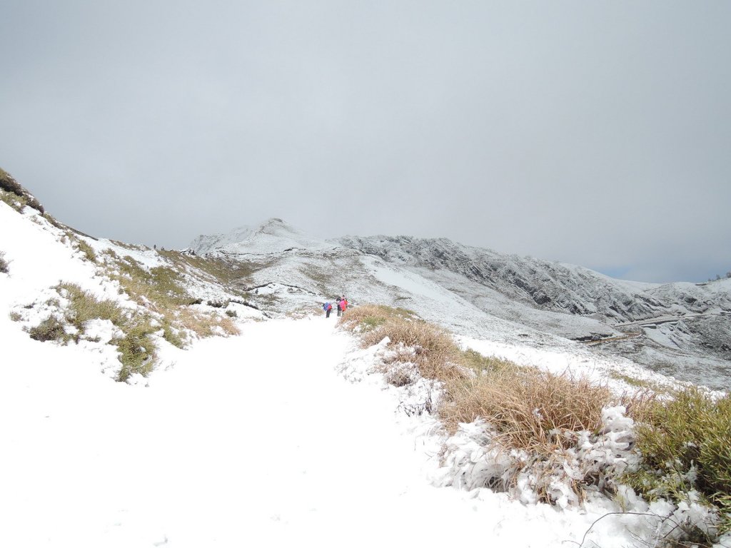合歡山也有藏王樹冰的雪景_510338