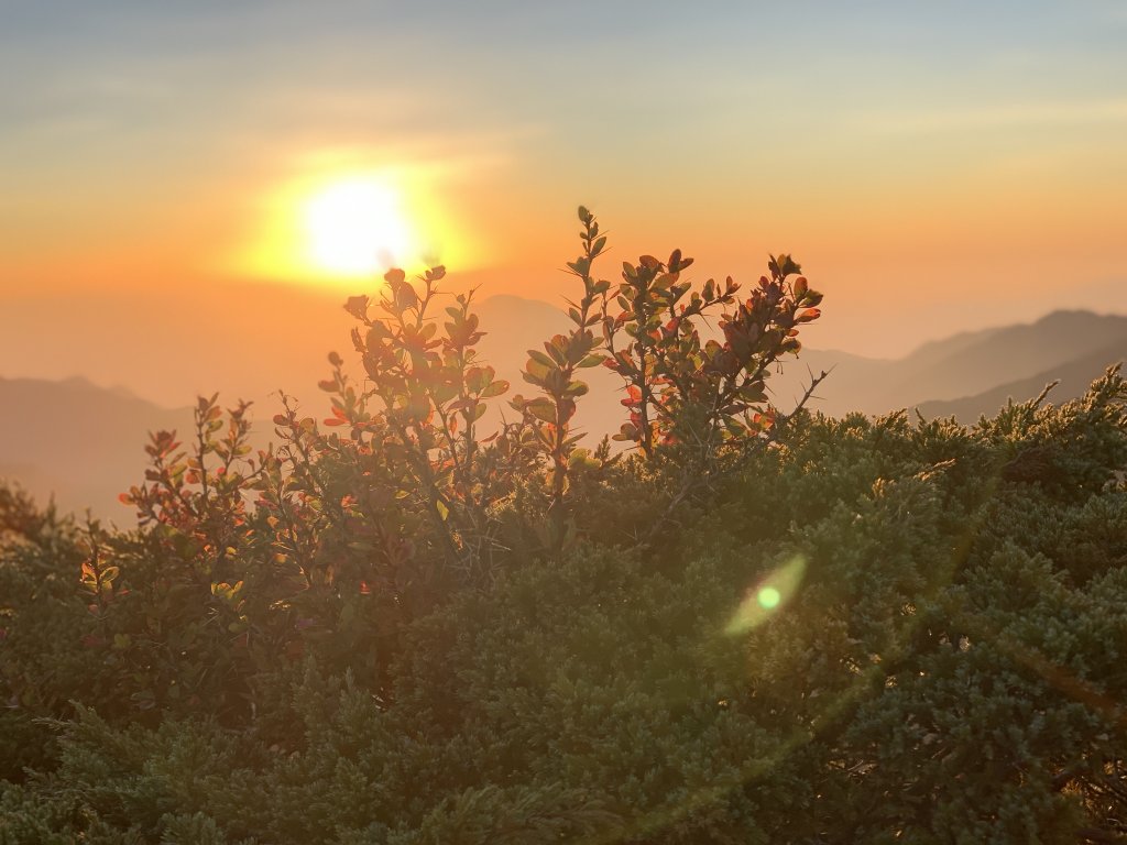 【百岳】奇萊主峰_2072274