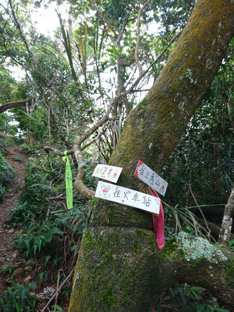 三員縱走(雙峰山)(三義→銅鑼)_592274