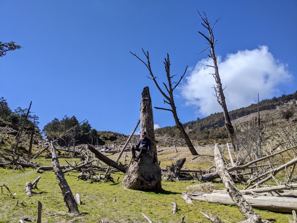 【高雄桃源】小關山林道上小關山_1275144