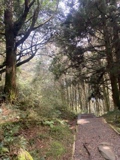 1130306大塔山步道_2696752
