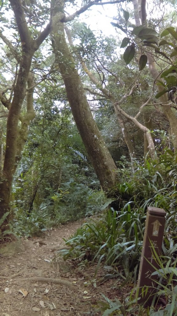 繽紛絢麗的鳶山彩色大岩壁_723856