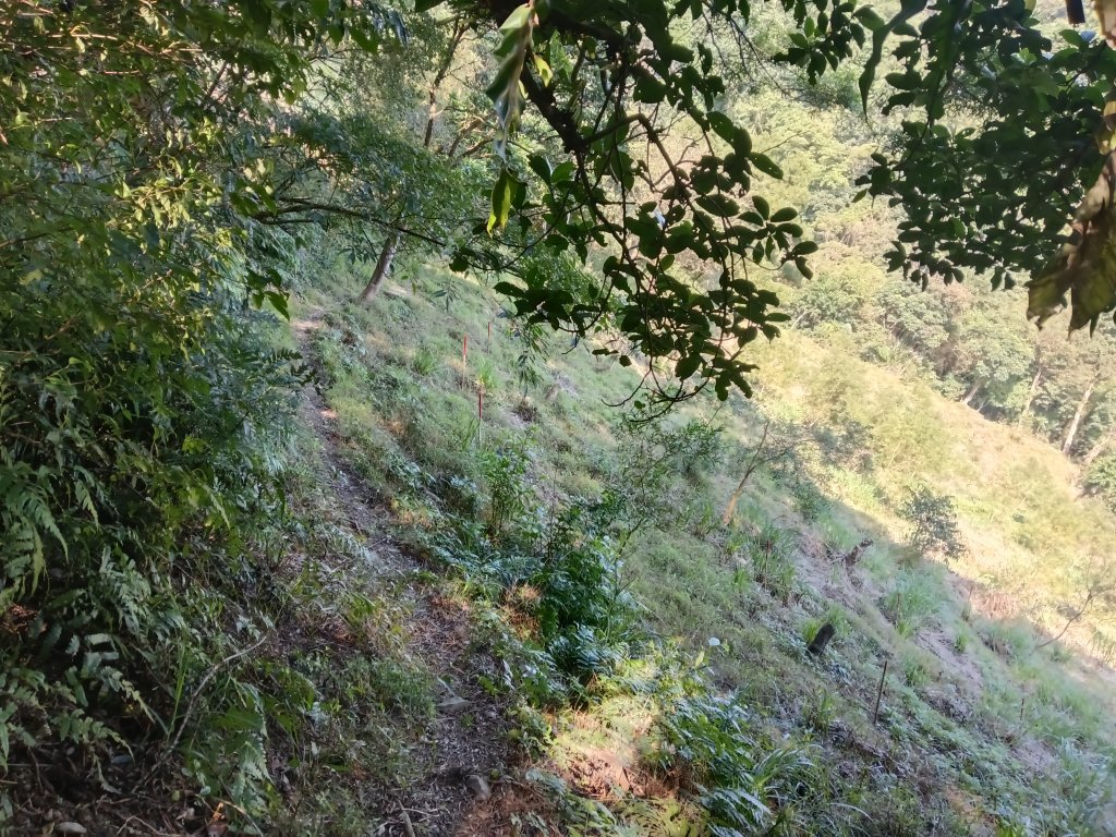 頭城鎮龜山車站+北關山豬線+叢雲山+梗枋古道出龜山車站O型_3007671