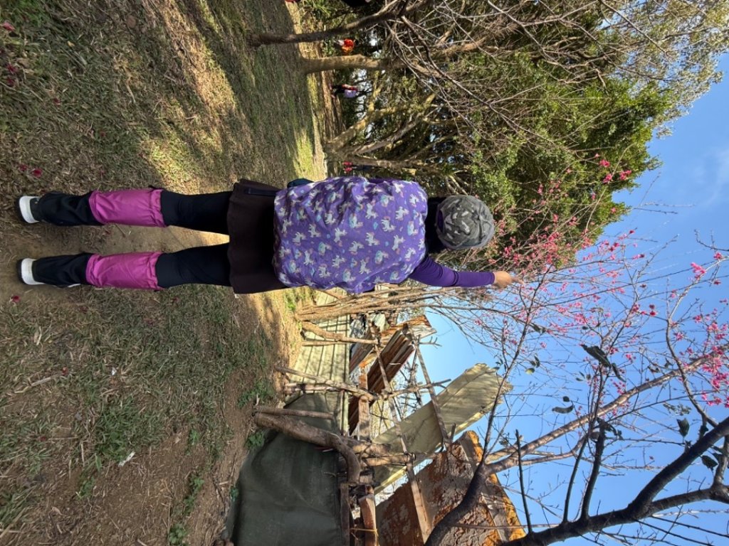 鳳鳴-龜山-鶯歌六連峰縱走/樹林大凍山-鶯歌蛋石山-鶯歌陶瓷博物館_2697023