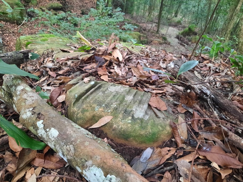 南庄加里山大坪大湳山麓_2034094