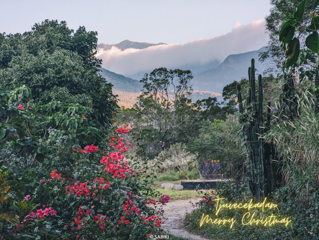 【排灣，Tjuvecekadan】埋藏在綠色叢林中的寶藏- 老七佳_2401205