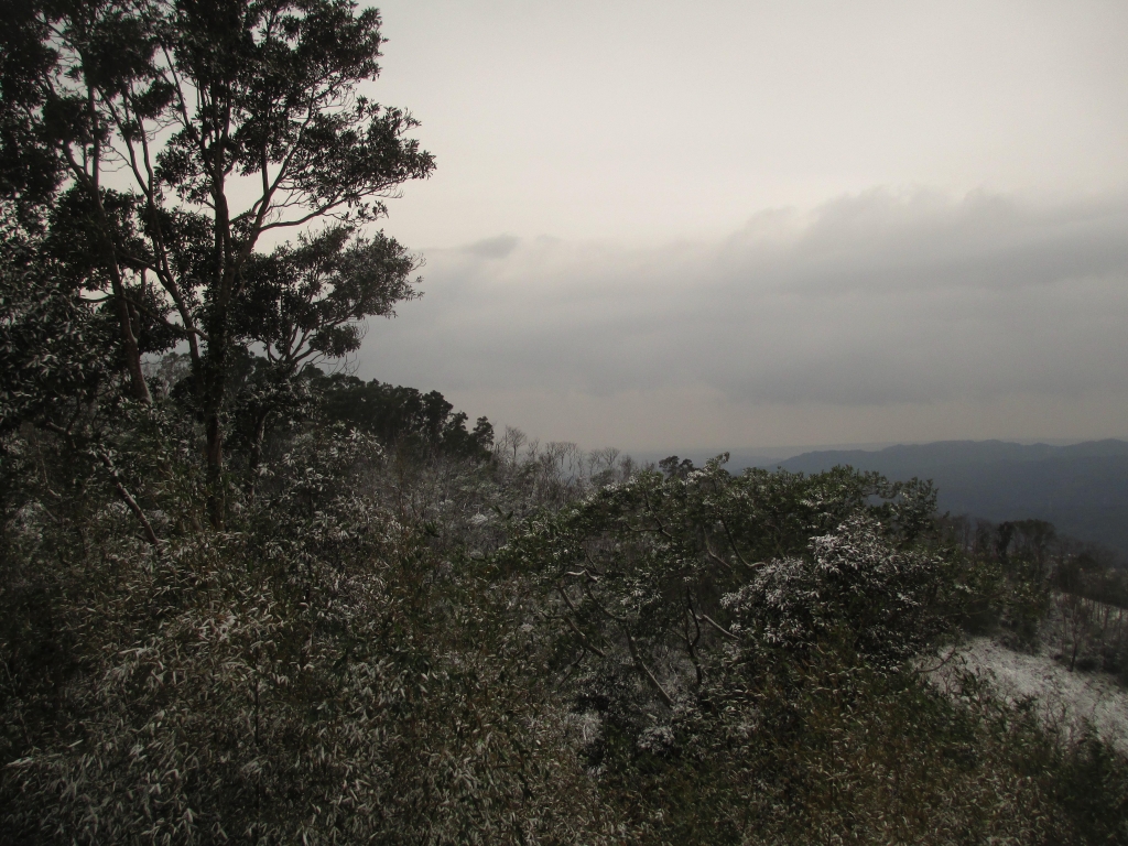 大山背雪見_36920