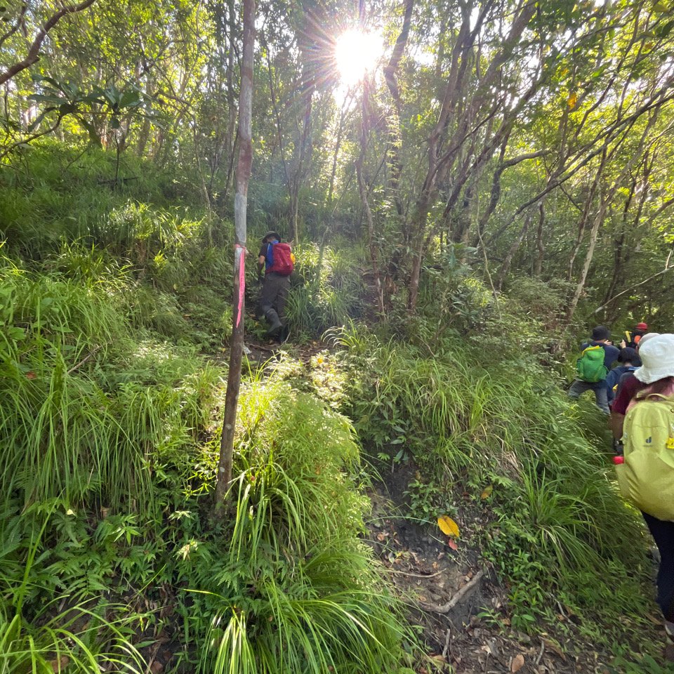 20251012_八里灣山（花蓮小百岳）封面圖
