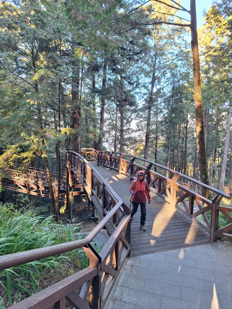 一日眠月線20250112_2687910