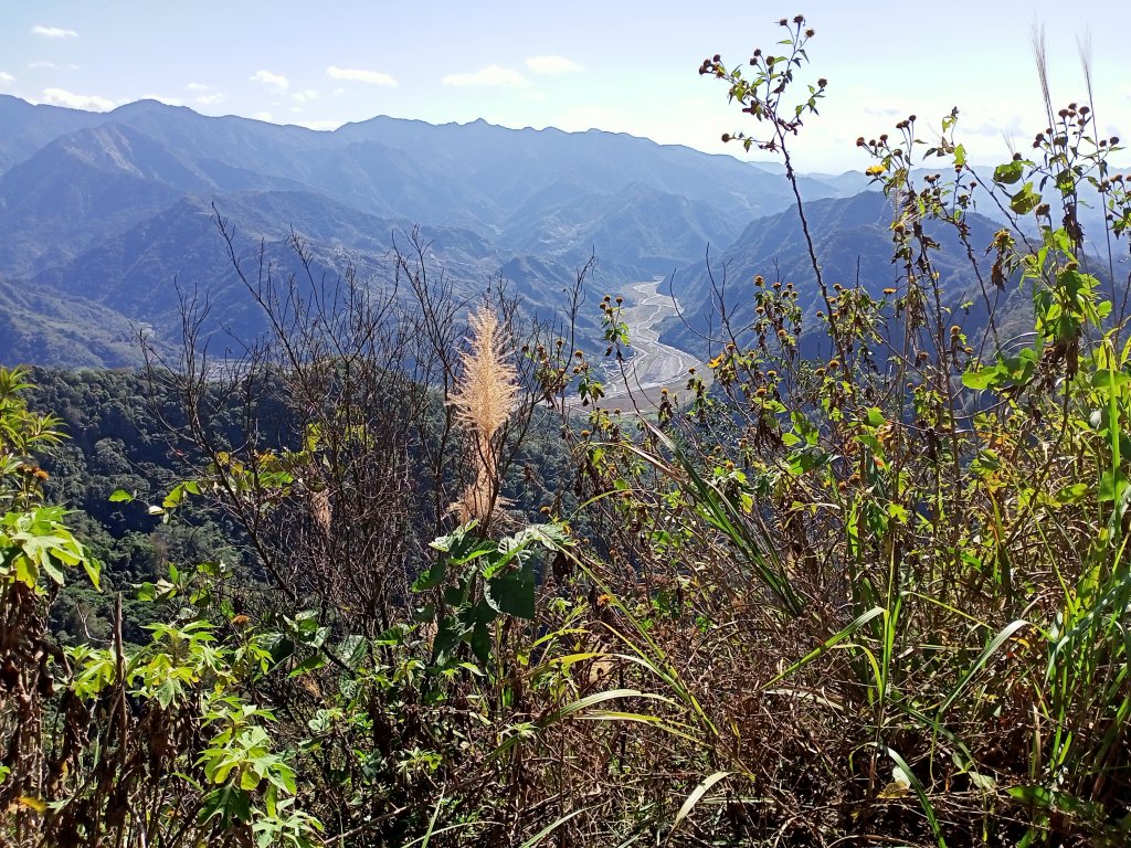 【小百岳集起來】馬那邦山-孫悟空的花果山_1207632