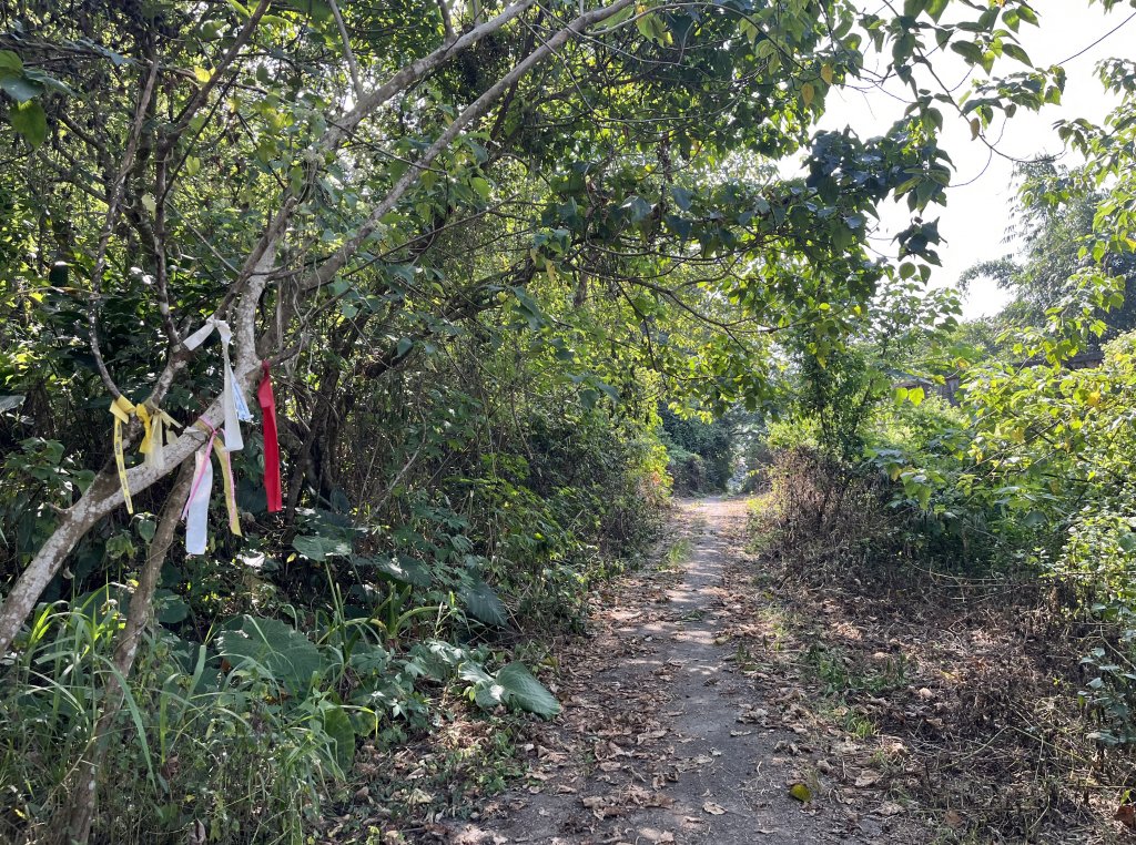 2023_1118 三腳南山_2353199