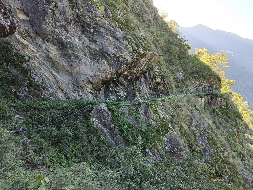 [玉山尋寶任務-07/12] 2025_0824 八通關雲龍瀑布步道_2870579