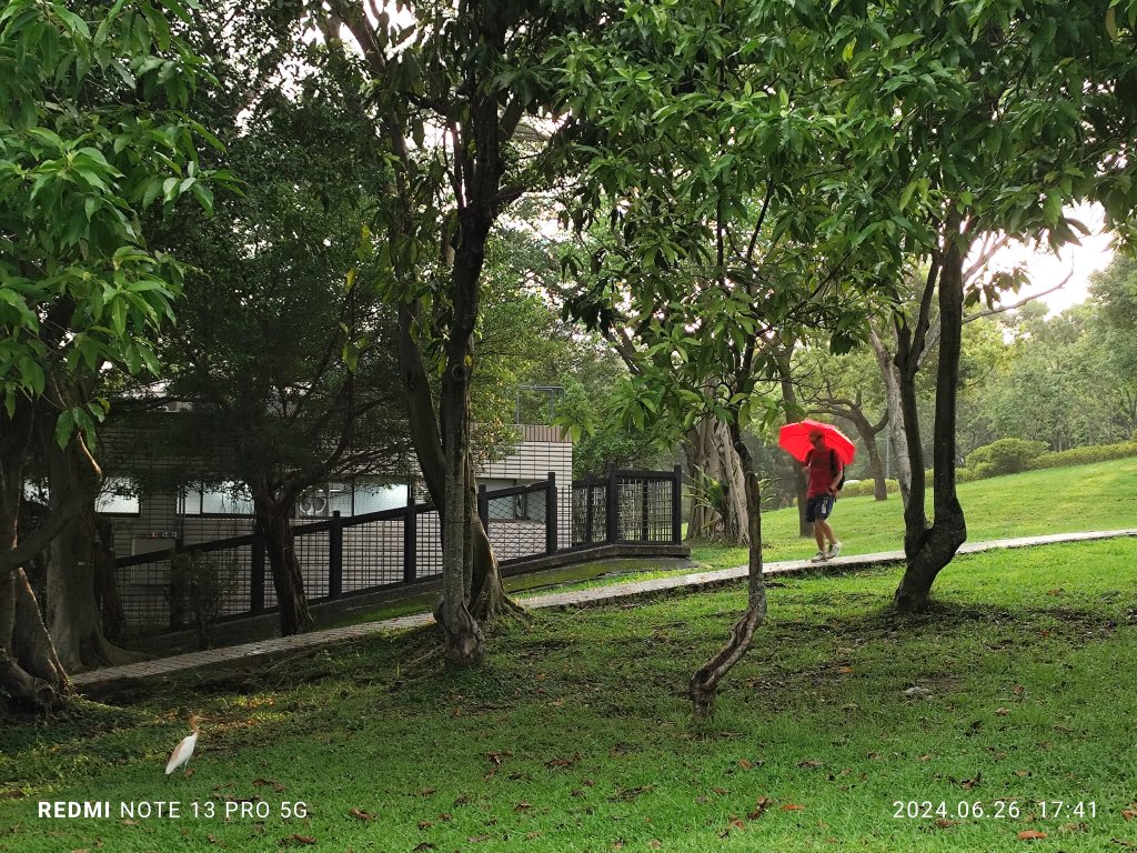 大安森林公園、寧夏夜市、士林夜市【走路趣尋寶】【臺北健走趣】_2536324