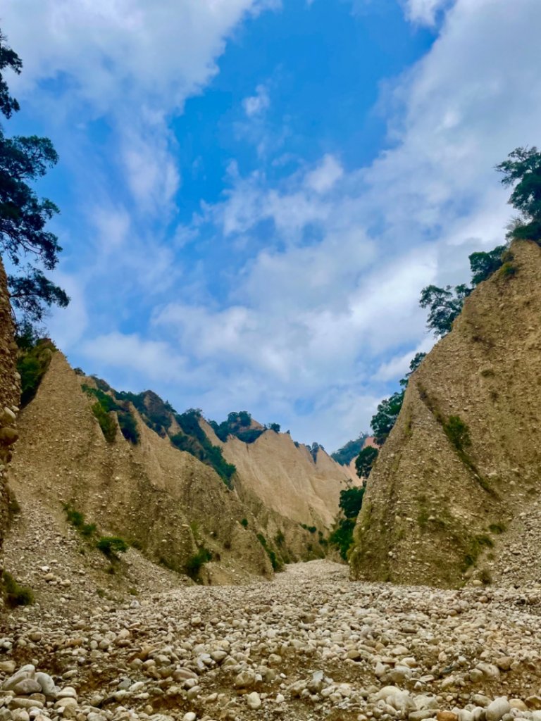 火炎山自然生態保留區_2331551